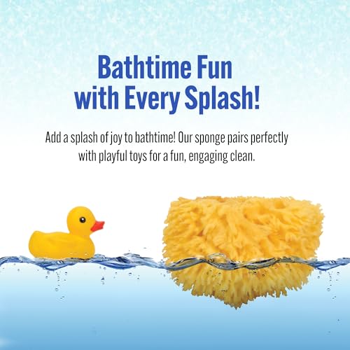 Baby Buddy Natural Wool Sea Sponge, Newborn Bath Time Essential, Ultra Soft for Delicate Skin, Hypoallergenic and Biodegradable, 4 Pack