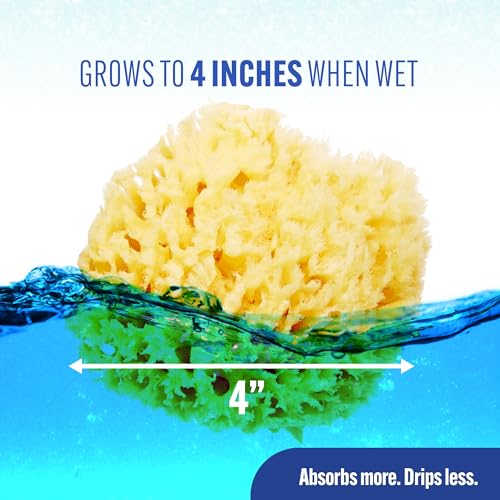 Baby Buddy Natural Wool Sea Sponge, Newborn Bath Time Essential, Ultra Soft for Delicate Skin, Hypoallergenic and Biodegradable, 4 Pack