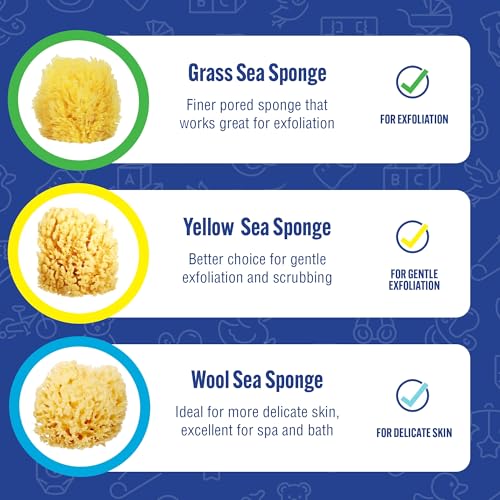 Baby Buddy Natural Wool Sea Sponge, Newborn Bath Time Essential, Ultra Soft for Delicate Skin, Hypoallergenic and Biodegradable, 4 Pack